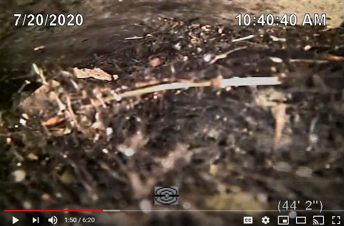 The horizontal line in the top third of this screenshot from our sewer scope video may be one of the spots tree roots grew into our sewer pipe.