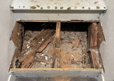 Staircase with bottom step removed, revealing severely rotted wood and structural damage.